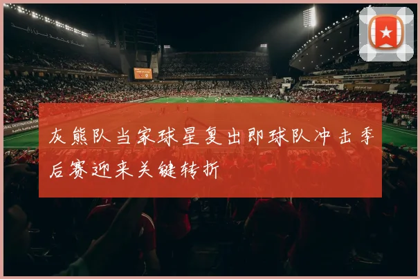 灰熊队当家球星复出即球队冲击季后赛迎来关键转折