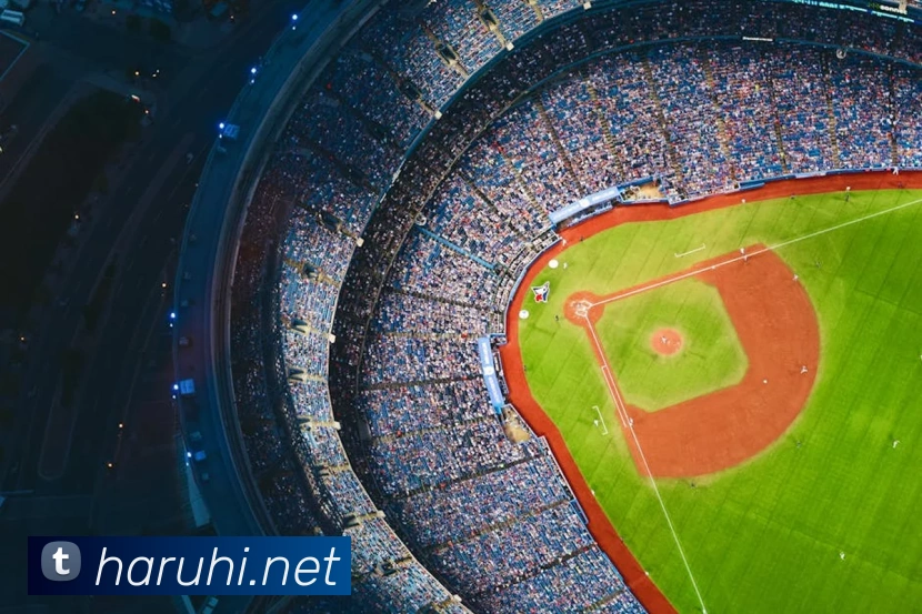 半岛网官网登录入口发展历程